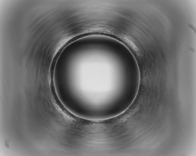 X0000094230888200710261254