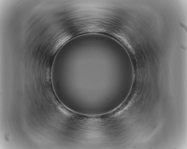 X0000094230889200710261254