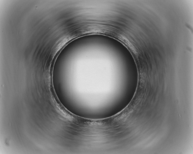 X0000094230890200710261254