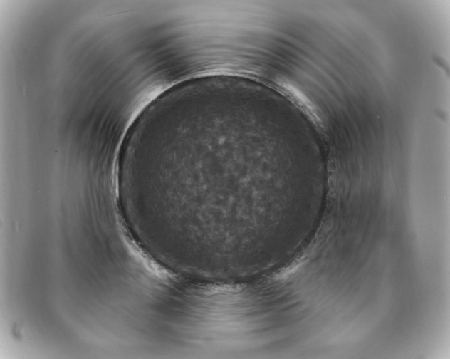 X0000094230892200710261254