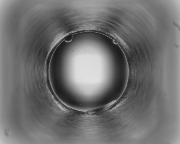 X0000094230894200710261254
