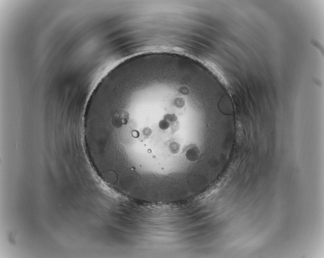 X0000094230895200710261254