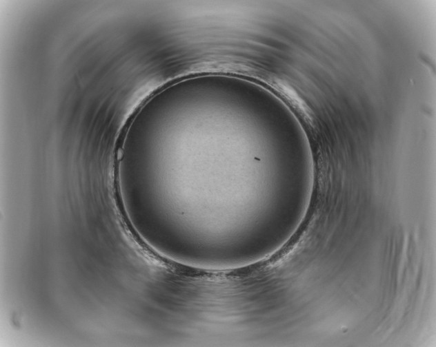 X0000094230896200710261254
