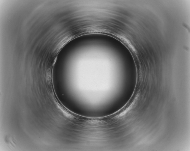 X0000094230897200710261254