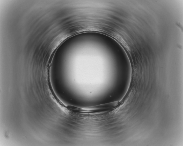 X0000094230898200710261254