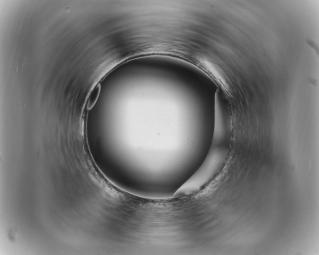 X0000094230900200710261254