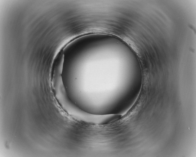 X0000094230904200710261254