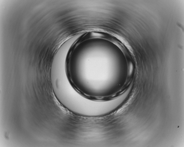 X0000094230905200710261254