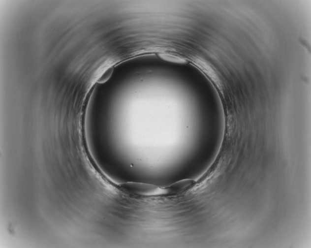 X0000094230906200710261254
