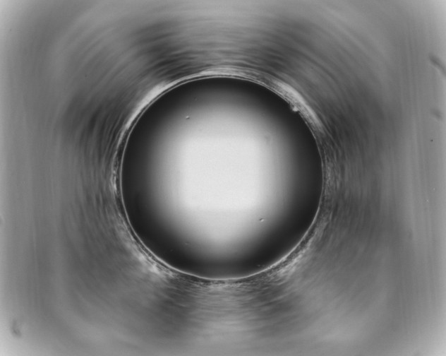 X0000094230908200710261254