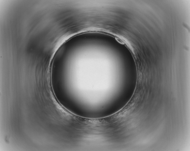 X0000094230911200710261254