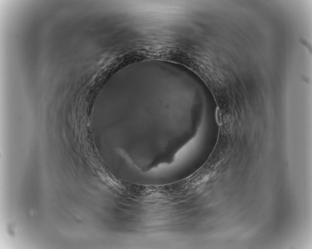 X0000094230913200710261253