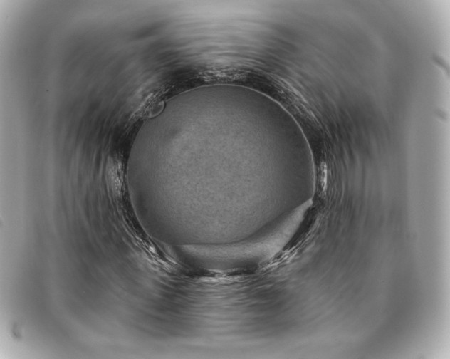 X0000094230915200710261253