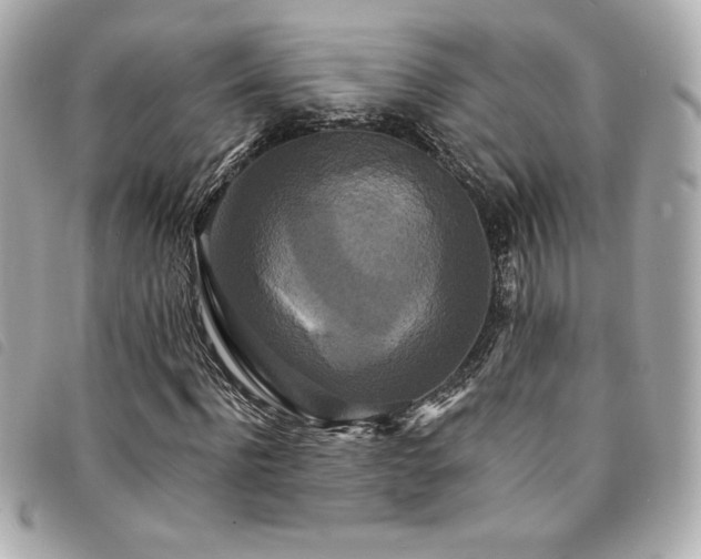 X0000094230916200710261253