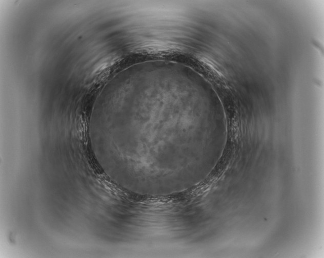 X0000094230917200710261253
