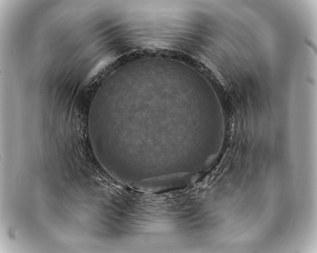 X0000094230919200710261253