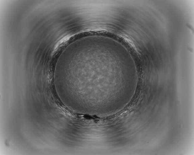 X0000094230920200710261253