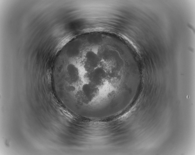 X0000094230921200710261253