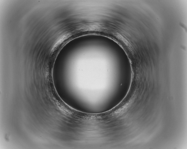 X0000094230922200710261253