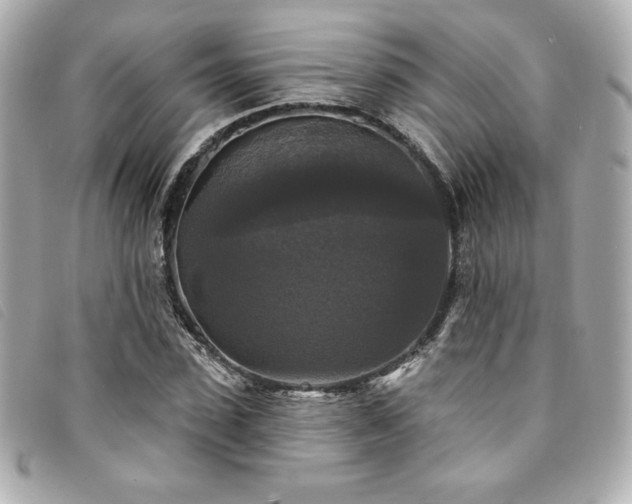 X0000094230923200710261253