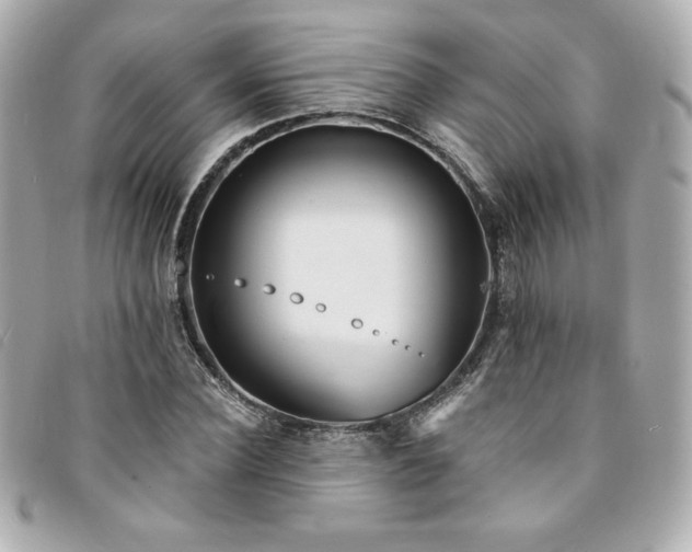 X0000094230924200710261253