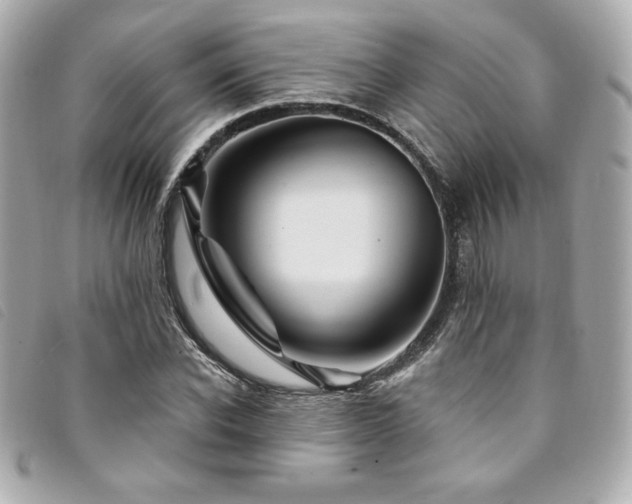 X0000094230926200710261253