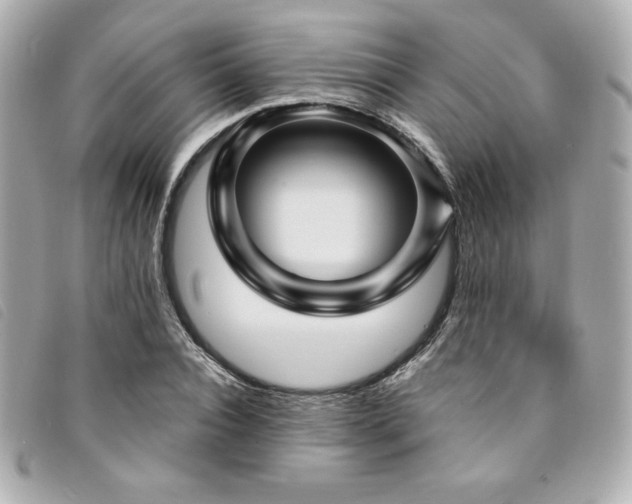 X0000094230928200710261253