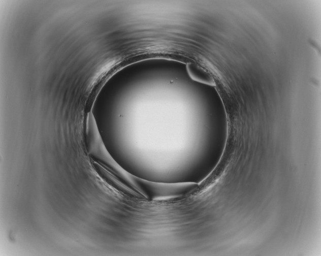 X0000094230930200710261253