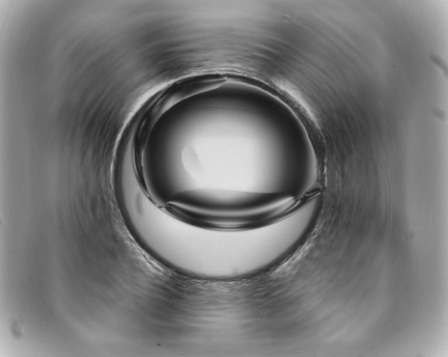 X0000094230932200710261253