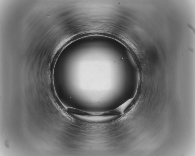 X0000094230933200710261253