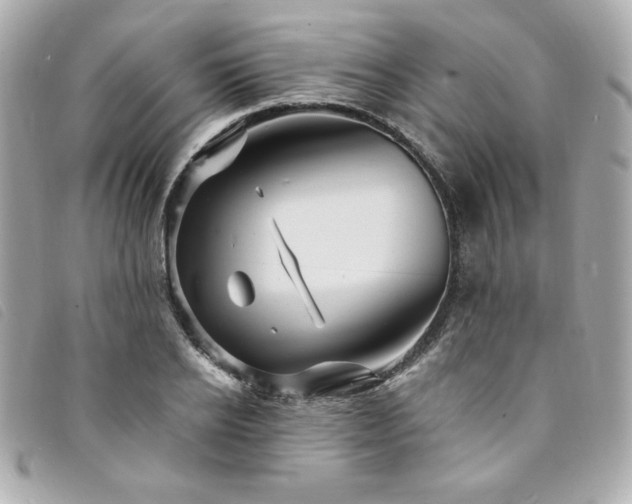 X0000094230934200710261253