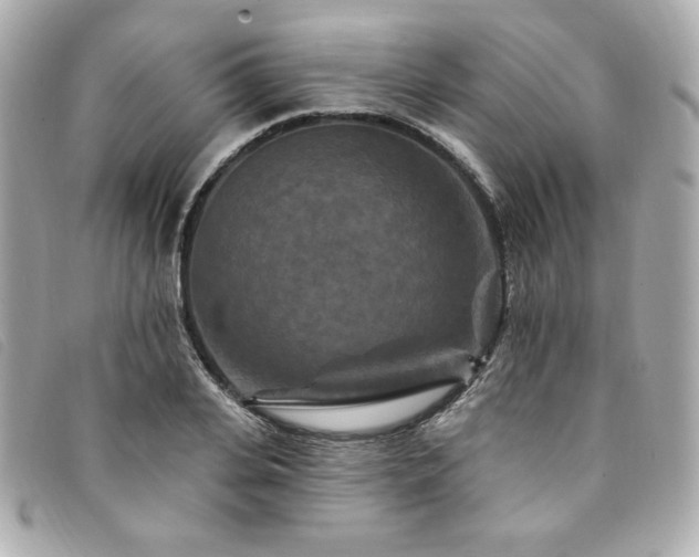 X0000094230935200710261253