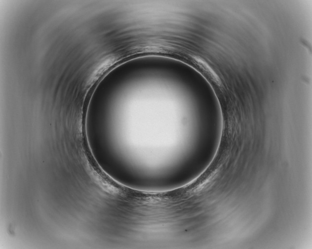 X0000094230938200710261253