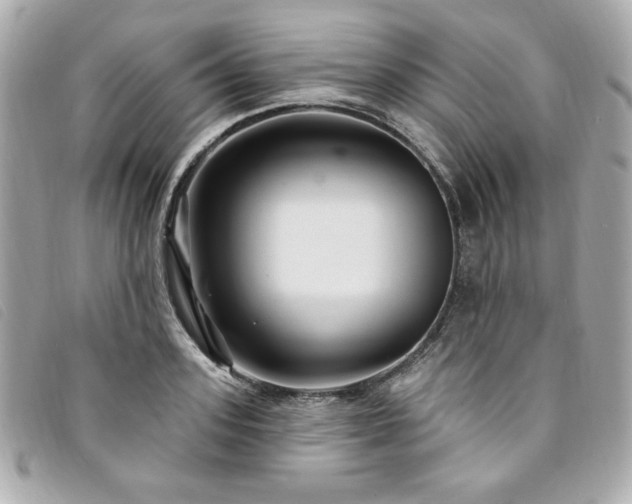 X0000094230939200710261253