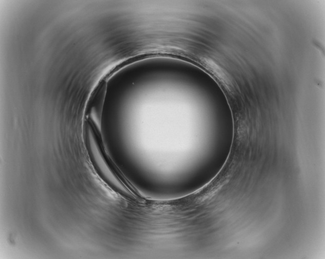 X0000094230940200710261253