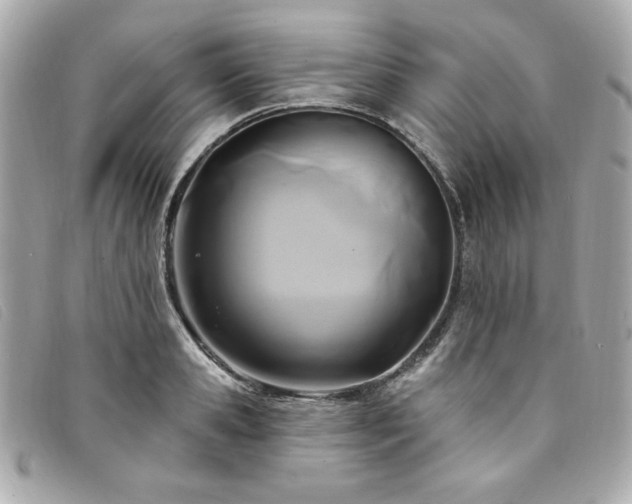 X0000094230941200710261253