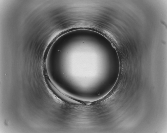 X0000094230942200710261253