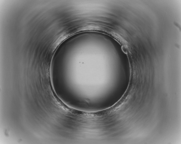 X0000094230945200710261253
