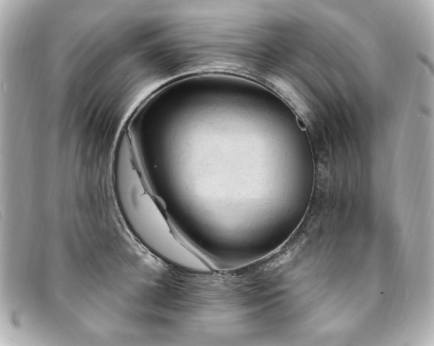 X0000094230948200710261253