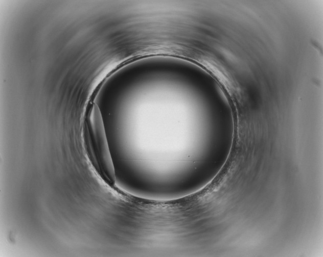 X0000094230949200710261253