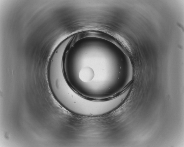 X0000094230950200710261253