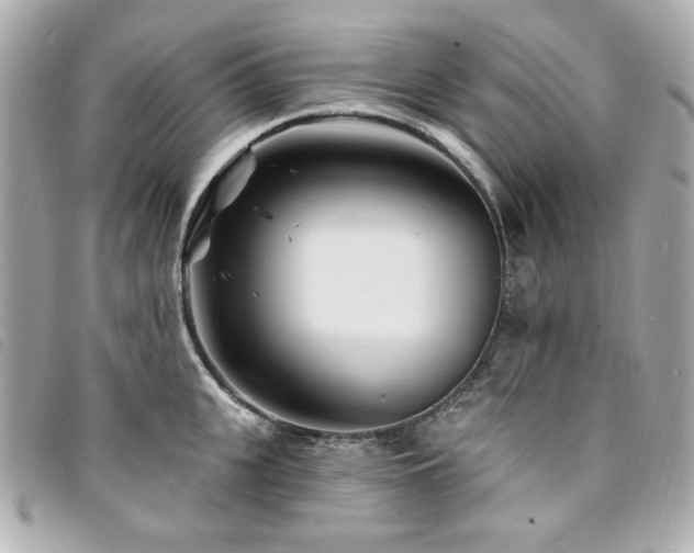 X0000094230951200710261253