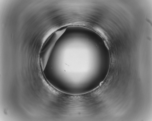 X0000094230952200710261253