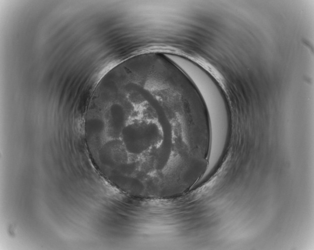 X0000094230953200710261253
