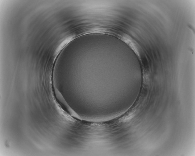 X0000094230954200710261253