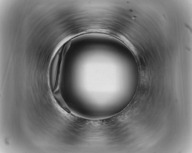 X0000094230955200710261254
