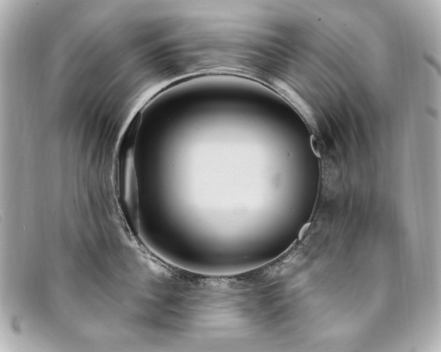 X0000094230956200710261254
