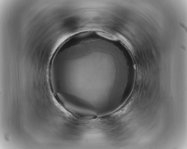 X0000094230958200710261254