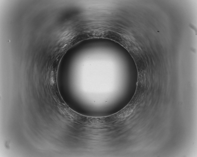 X0000094230962200710261253