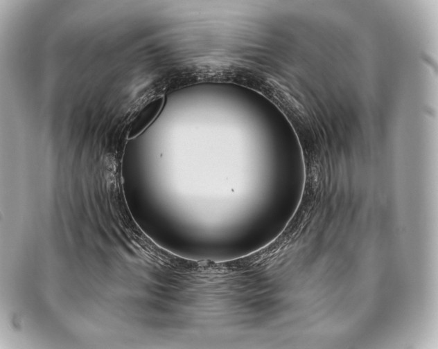 X0000094230964200710261253